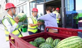 金乡最新大瓜爆料新闻,揭秘惊人内幕，震惊全城！